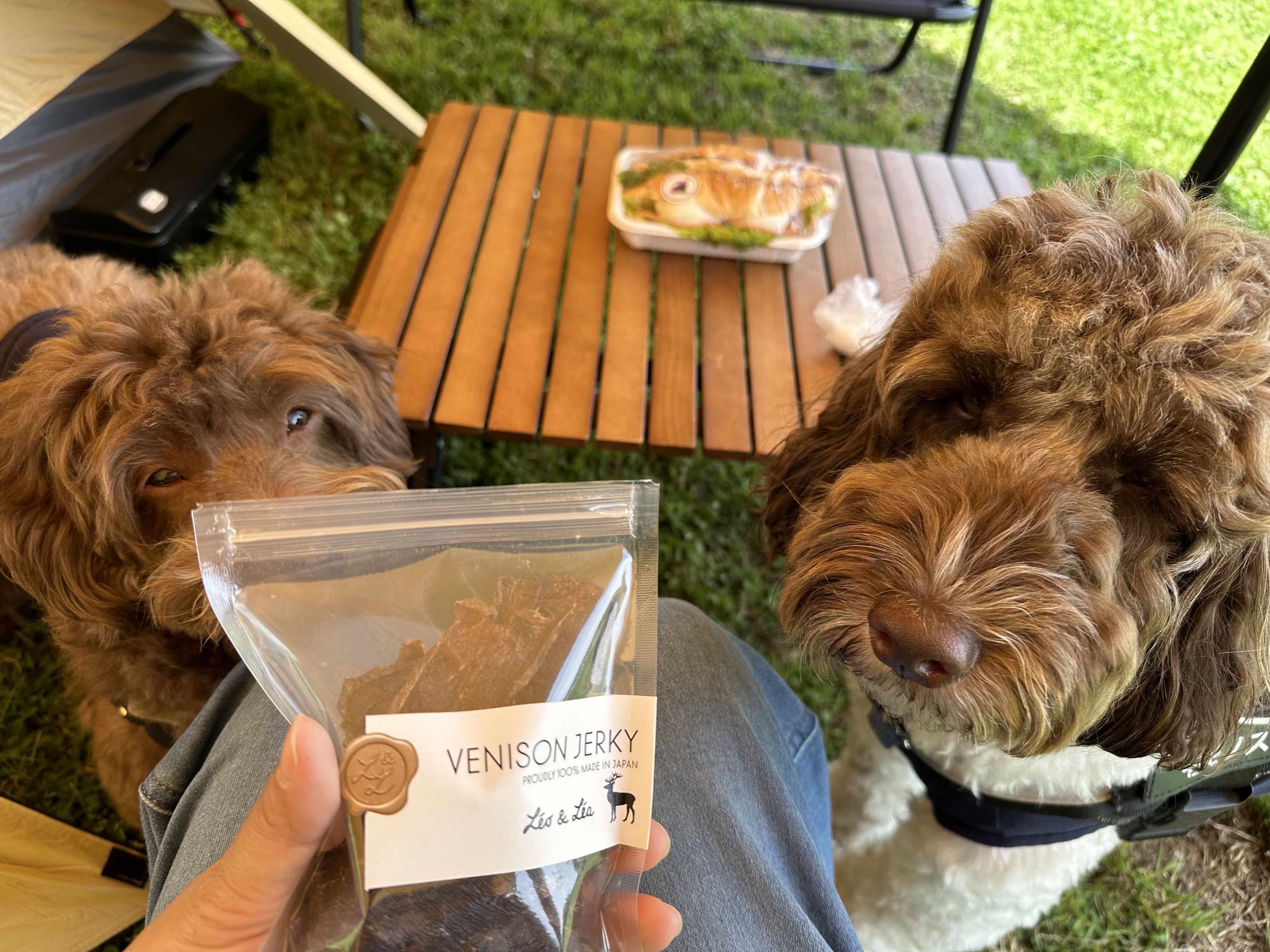 レオアンドレア のおやつシリーズを狙う銀百