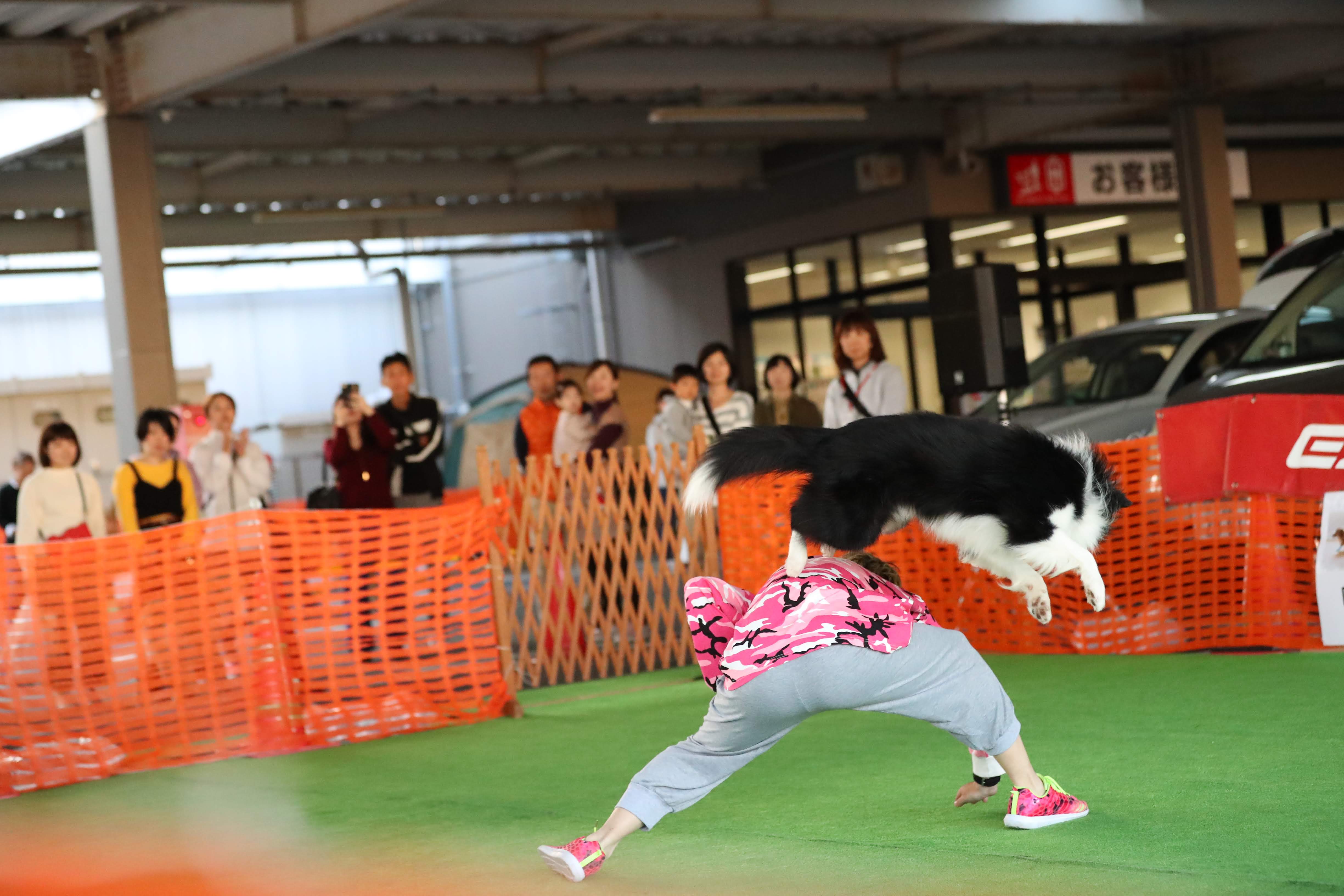 背中をジャンプ！大会での１コマ。