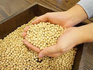 レオアンドレアのおからは特別栽培大豆を使用しています