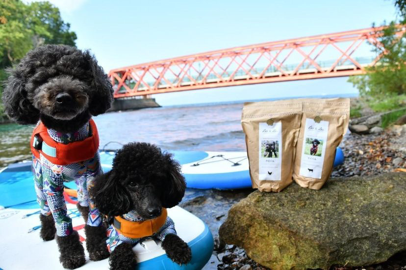 SUP大好きレオレアワンコ、クロちゃん・リクちゃん(@fukukuro0928)