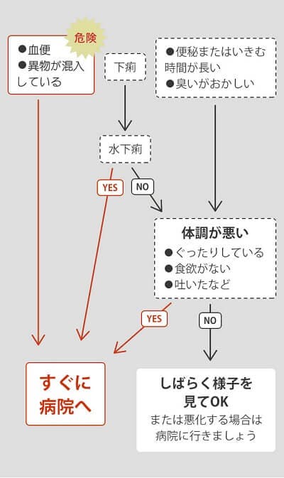 犬の下痢 便秘 病院に行く目安は うんちで健康チェック 獣医師監修