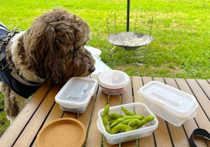 タッパー各種。映えませんがオススメです。