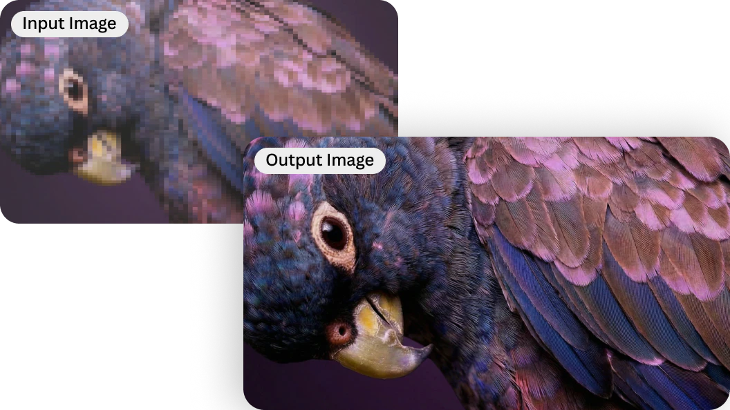 video poster background
