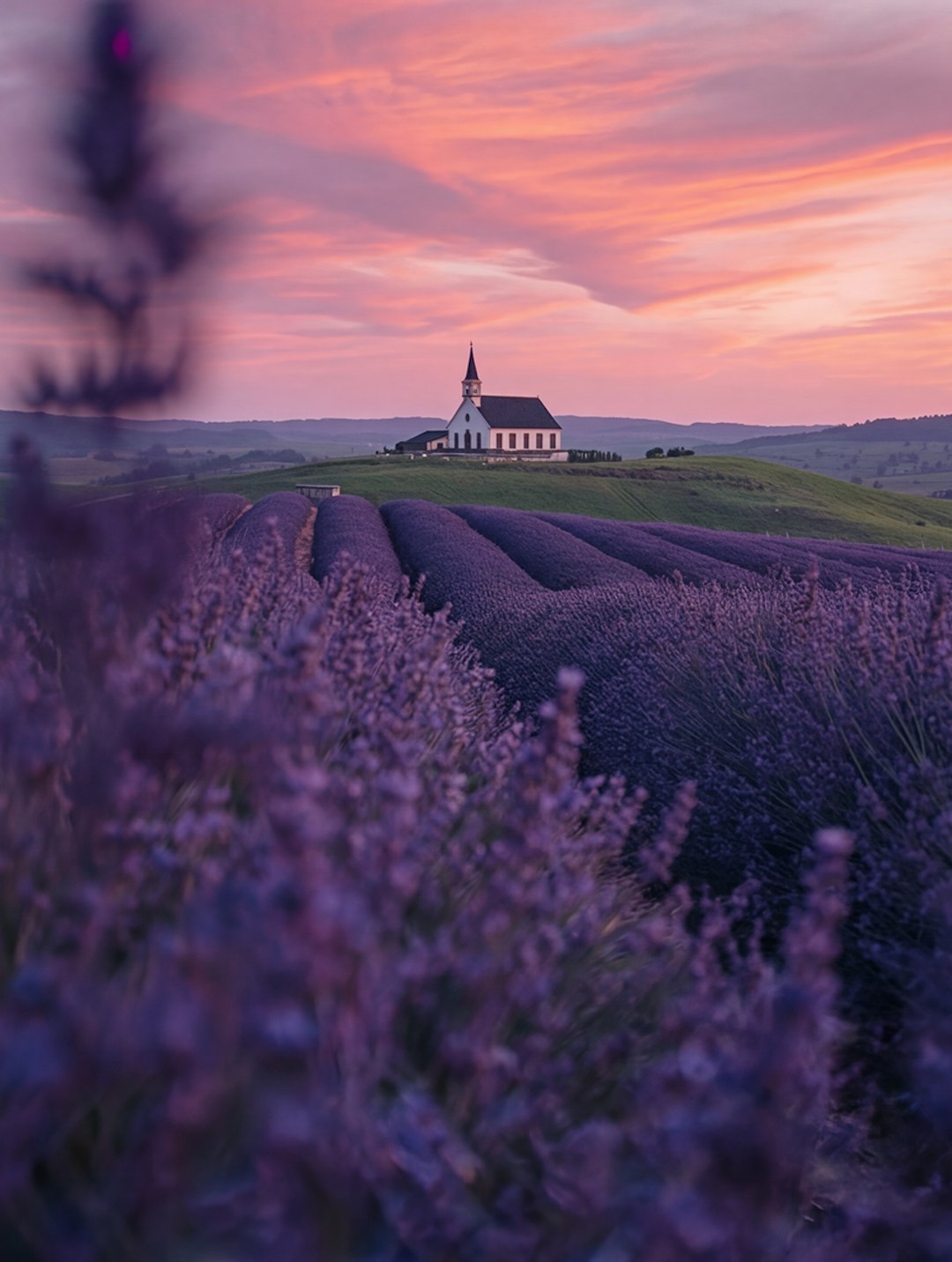 Free AI Art Generator – Create Art from Text