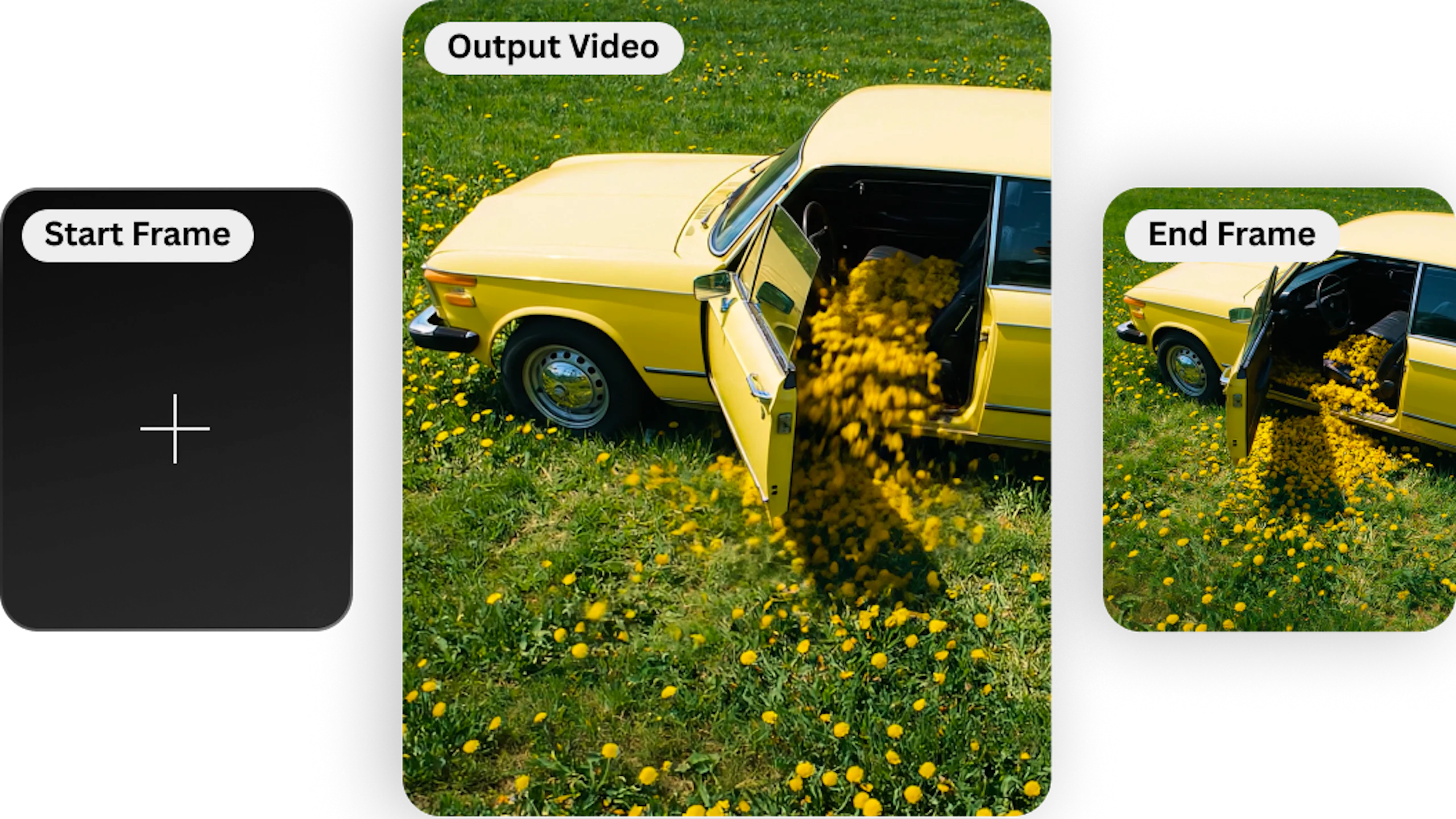 video poster background