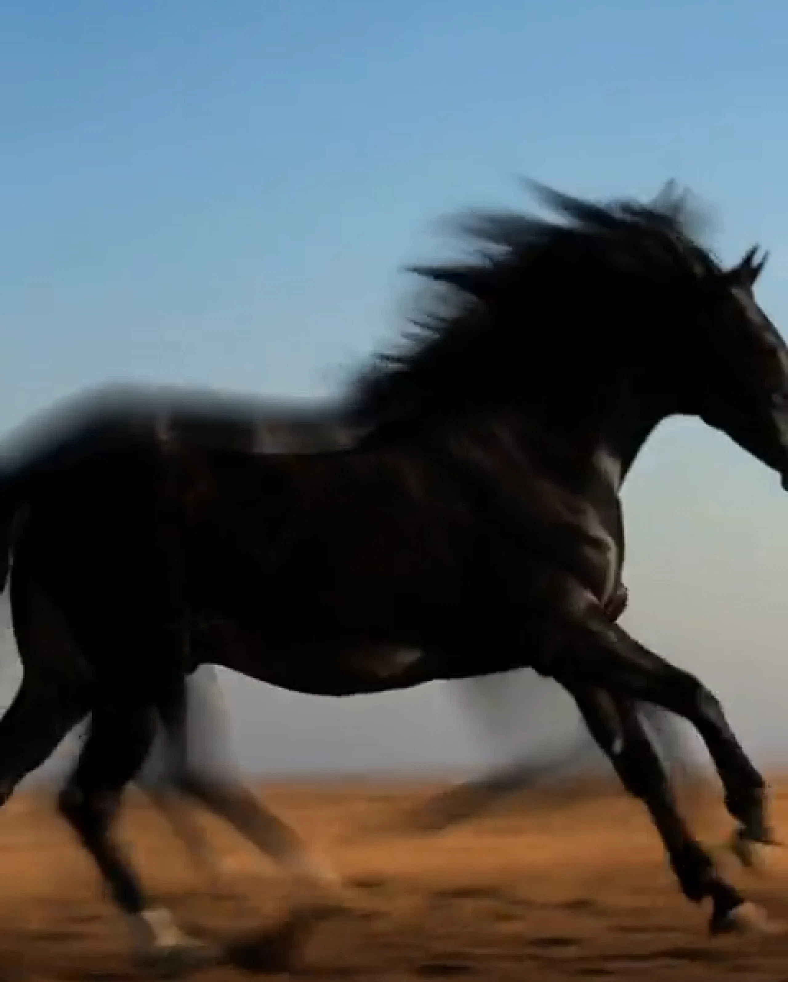 Motion control
