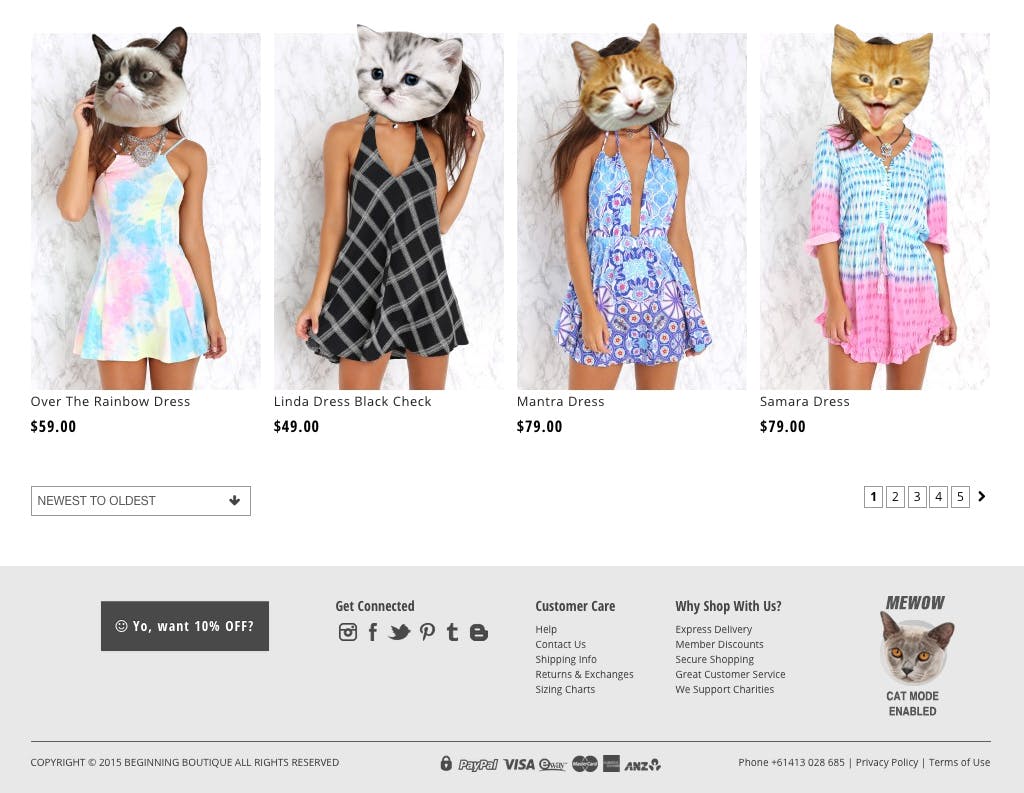 Beginning Boutique - Cat Mode experience for International Cat Day