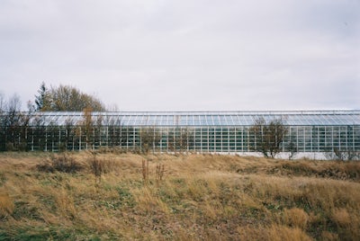 A greenhouse in west Iceland