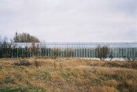 A greenhouse in west Iceland