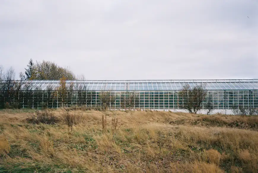 A photo of a greenhouse in Western Iceland