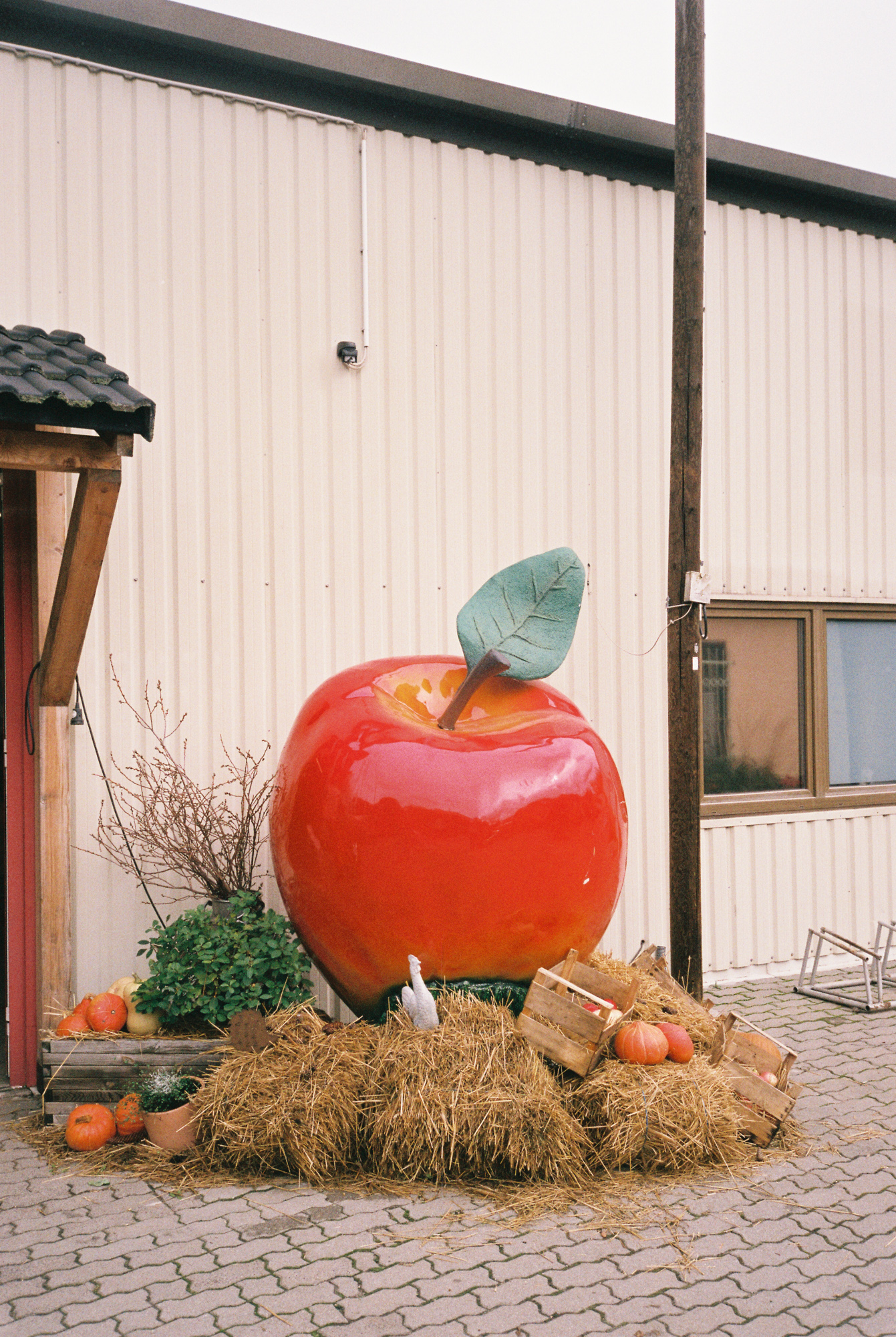 A giant apple at a farm in Brandenburg, Germany