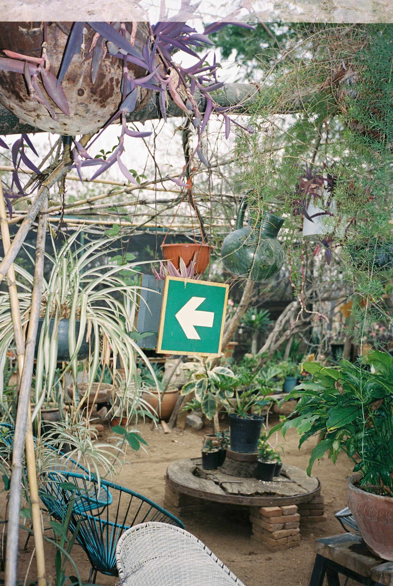 A restaurant Oaxaca, Mexico