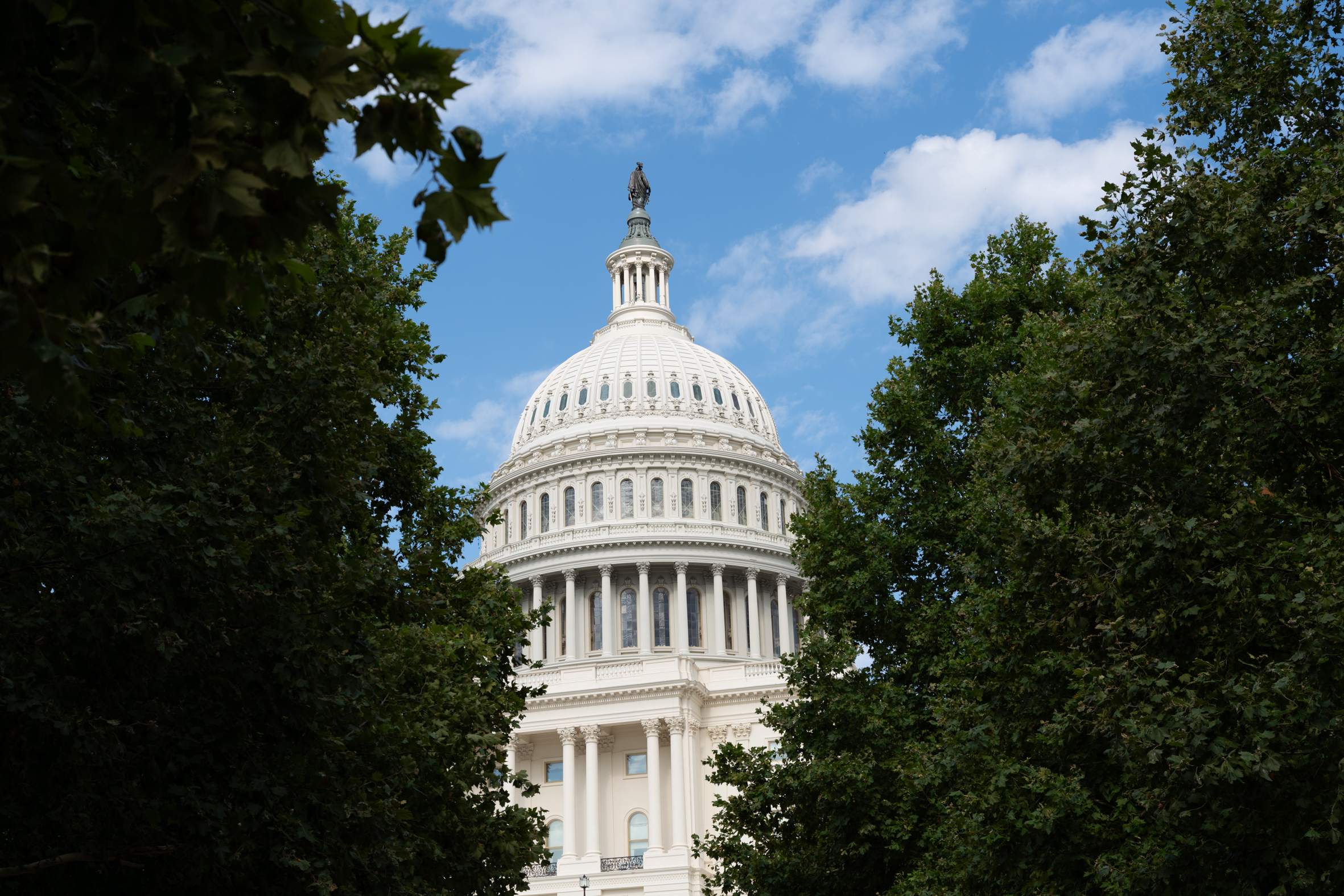 The United States Capitol, seen through the trees.