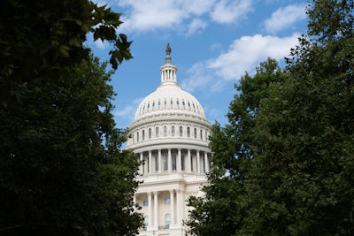 The United States Capitol, seen through the trees.