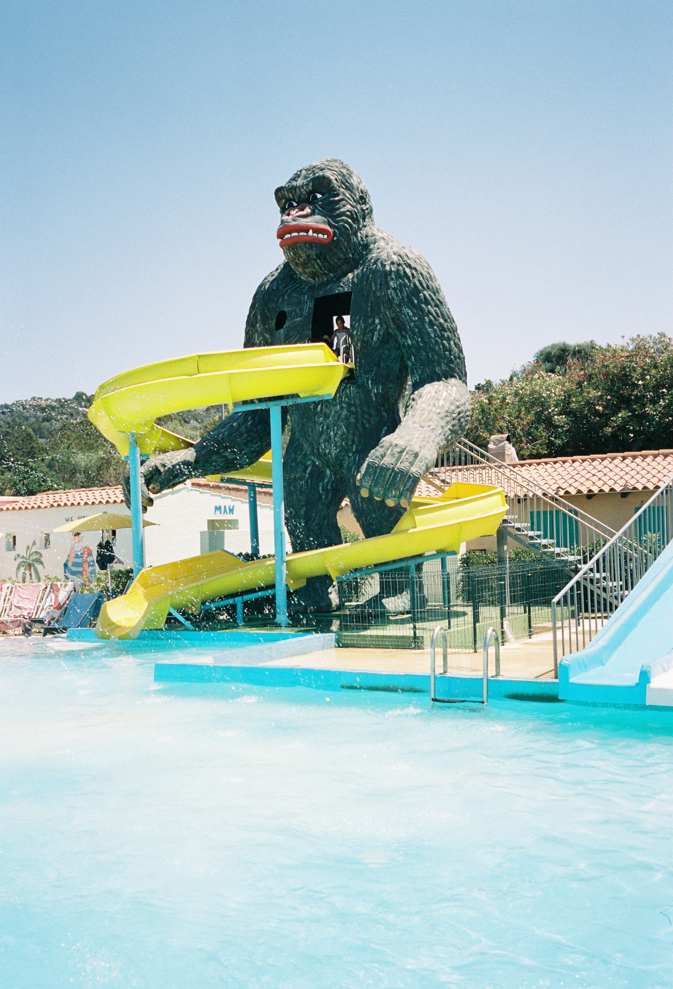 Gorilla in Sardinia, Italy