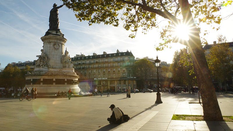 La dératisation - Paris 3