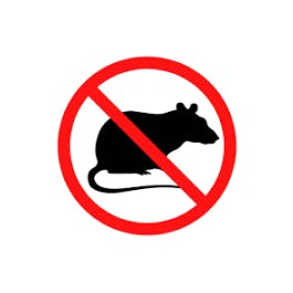Logo rat