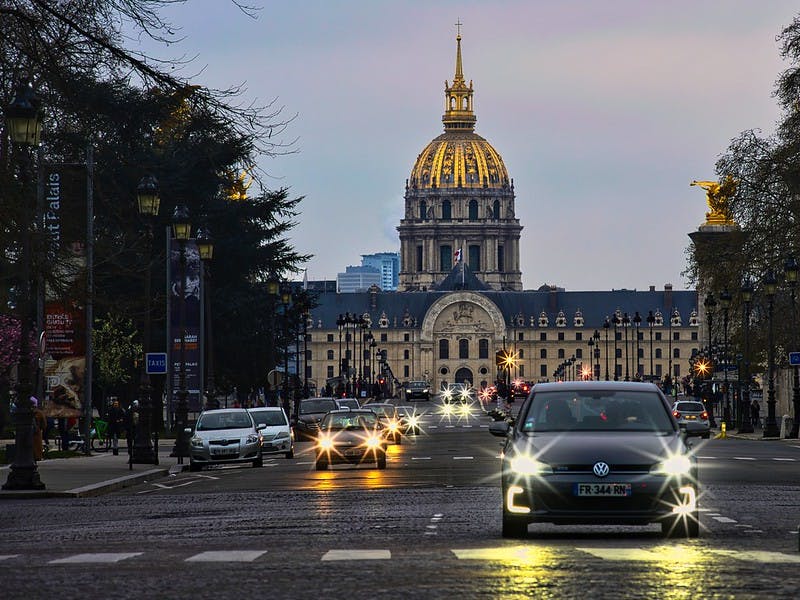 La dératisation - Paris 7