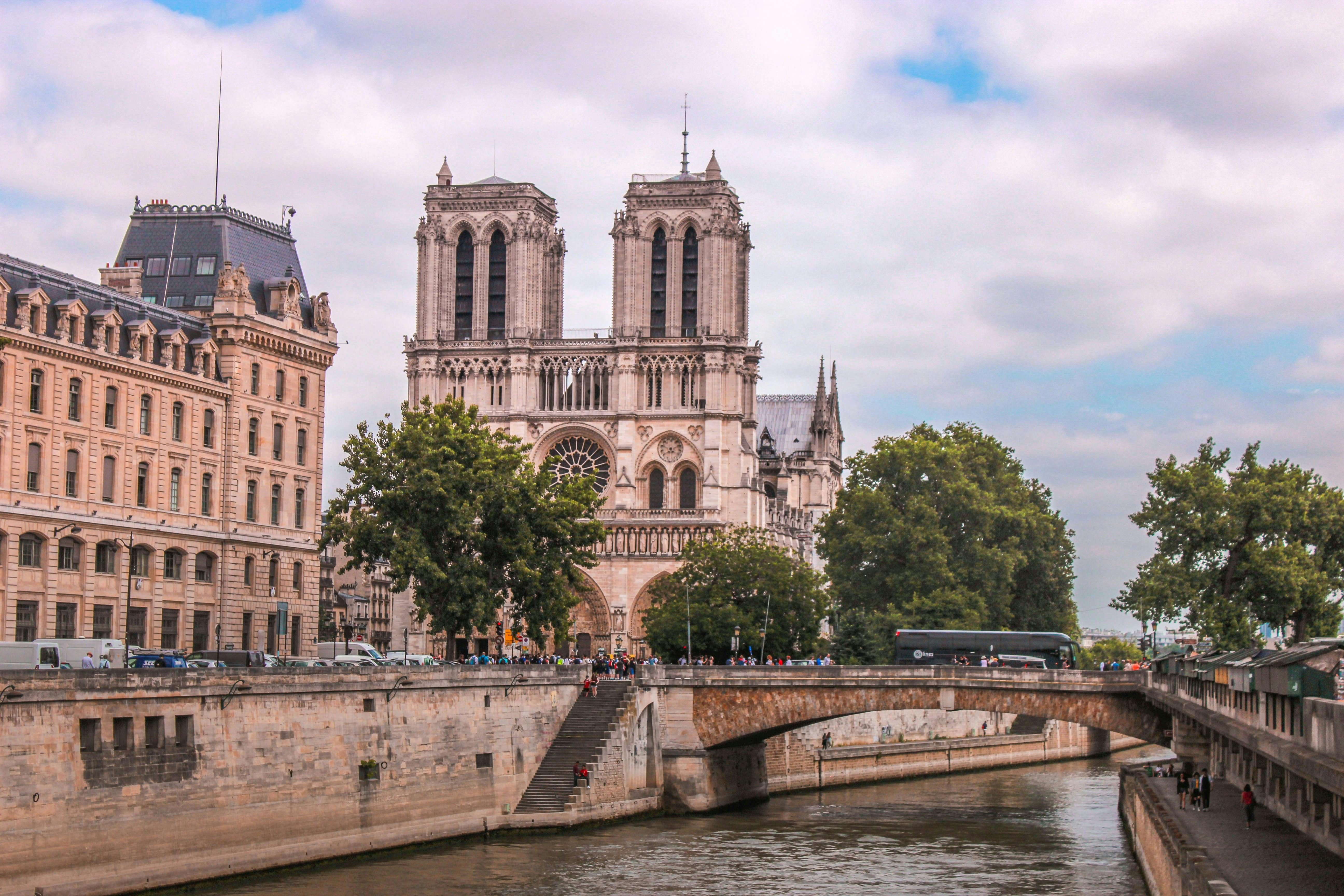 La dératisation - Paris 4