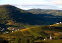 Oenotourisme France - Les meilleures périodes pour partir sur les Routes des Vins en France - Les Grappes