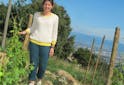 Portraits Vignerons - Laure Colombo du Domaine Colombo : Nous aimons tous la vigne mais nous pouvons la travailler différemment - Les Grappes