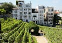 News - Le vin de Montmartre : Bio et sans soufre - Les Grappes
