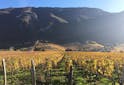 Oenotourisme France - Carnet de route des vins : La Savoie - Les Grappes