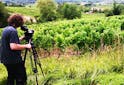 Oenologie - Top 5 des documentaires incontournables sur le vin - Les Grappes