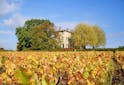 Oenotourisme France - A la découverte de l'AOC Brouilly - Les Grappes