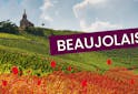 Les vins du Beaujolais