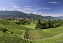 Oenotourisme France - Bugey-Savoie : le Tour de France côté vins - Les Grappes