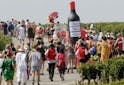 Oenotourisme France - Top 3 des marathons des vins - Les Grappes