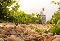 Portraits Vignerons - Fabrice Brunel : finis les fichiers Excel, place à la viticulture dans le Rhône - Les Grappes
