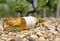 Oenologie - Les vins de Sauternes : « L’extravagance du superbe » - Les Grappes