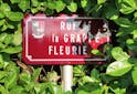 A la découverte de l'AOC Fleurie - Vignoble - Les Grappes