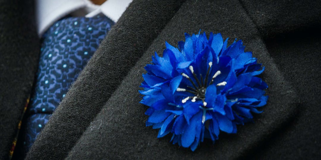 Le Bleuet de France, symbole des Poilus de la Grande Ouerre, porté lors des cérémonies du 11 Novembre et du 8 Mai par les Français et par les équipes de sports collectifs qui jouent durant ces période (Image d'illustration)