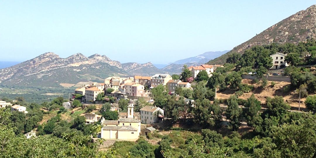 Poggio d'Oletta est un village situé dans le canton de la Conca d'Oro, dans le département de la Haute-Corse (2B) situé en région Corse.  D'une superficie de 1616 hectares et peuplé de 210 habitants, Poggio d'Oletta est rattaché administrativement à la communauté des communes du Nebbiu-Conca d'Oru qui compte 15 communes pour 6674 habitants.