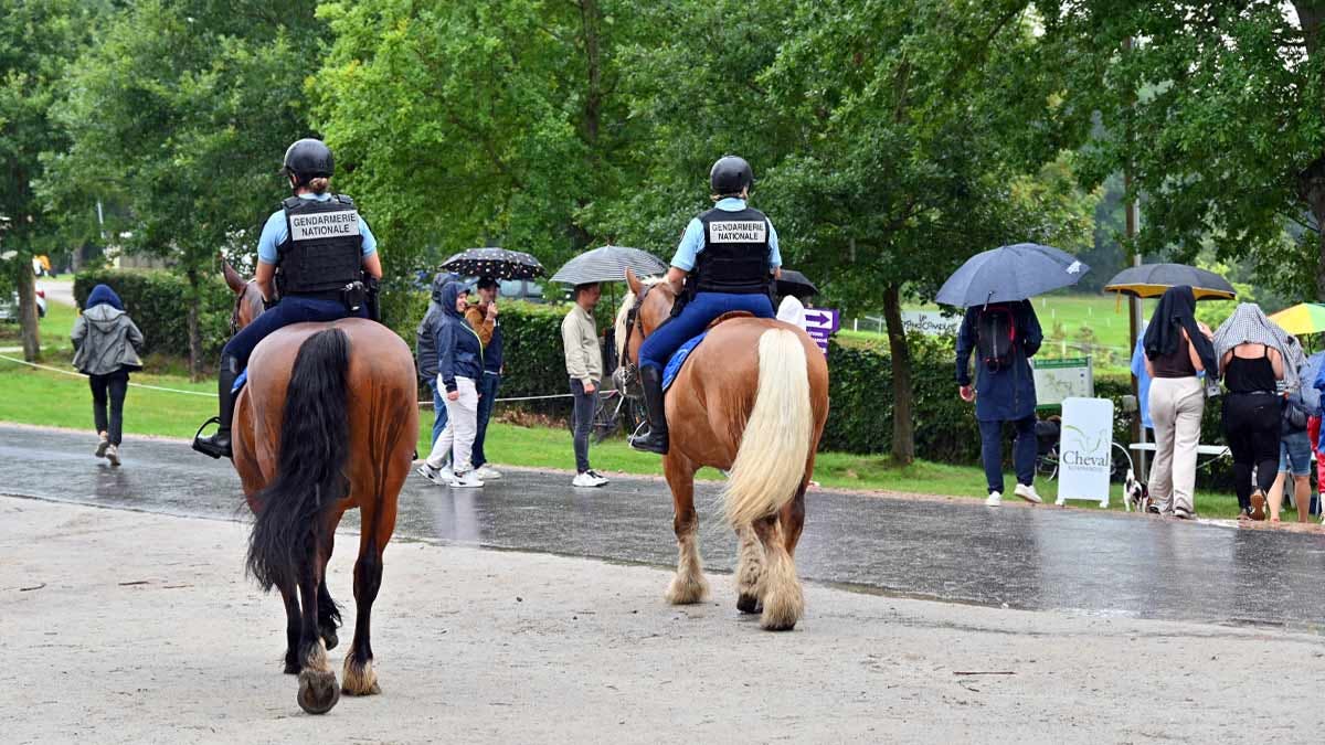 Les organisateurs de l'événement ont prêté deux chevaux percherons aux gendarmes de l'Orne, dont certains sont habilités à patrouiller à cheval. (Photo: LP/L'Essor)