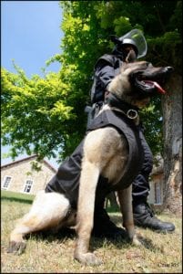 Photo d'illustration (GIGN).