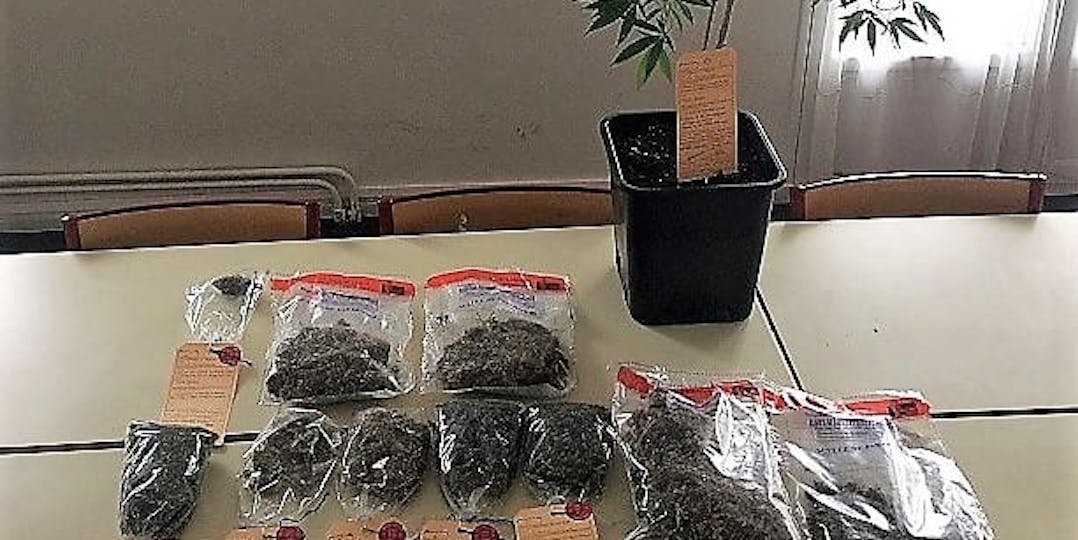 Le gendarme est accusé d'avoir volé du cannabis après avoir brisé des scellés (crédit photo : L'Essor)