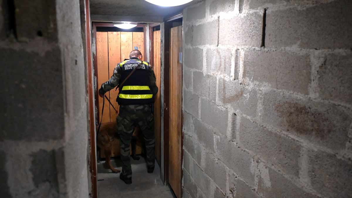 Appuyés par des équipes cynophiles, les gendarmes ont fouillé l'ensemble des bâtiments du quartier réputé sensible de Châteaubriant (Loire-Atlantique) dans le cadre d'une opération "Place nette" en mars 2024. (Photo: L.Picard/L'Essor)