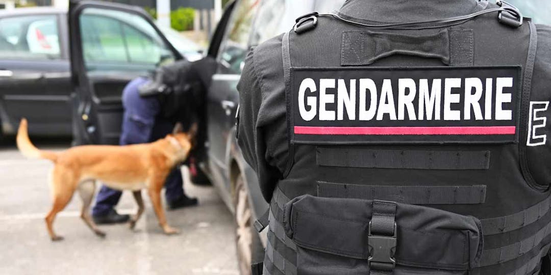 Les gendarmes procédaient  à l'interpellation d'un dealer quand ils ont été pris à partie. (Photo d'illustration : L.Picard/L'Essor)