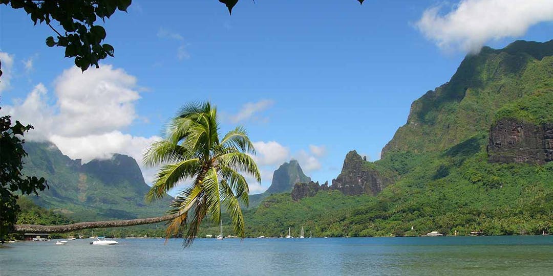 Vue de la baie de Cook sur l’île de Moorea, dans l'archipel de la Société en Polynésie française.
