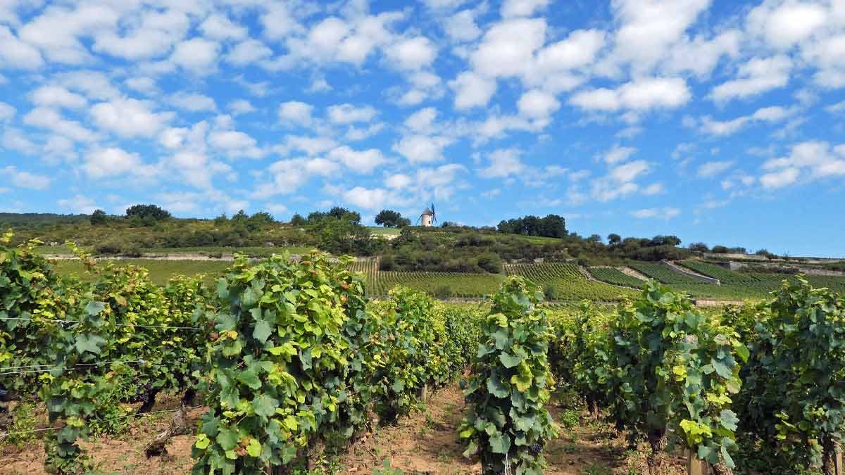 La Bourgogne et ses villages nichés entre les vignes. (Photo: Abac077/Flickr)