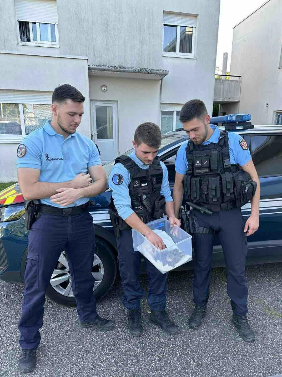 La patrouille de la brigade de Gannat qui a recueilli une portée de quatre chatons.