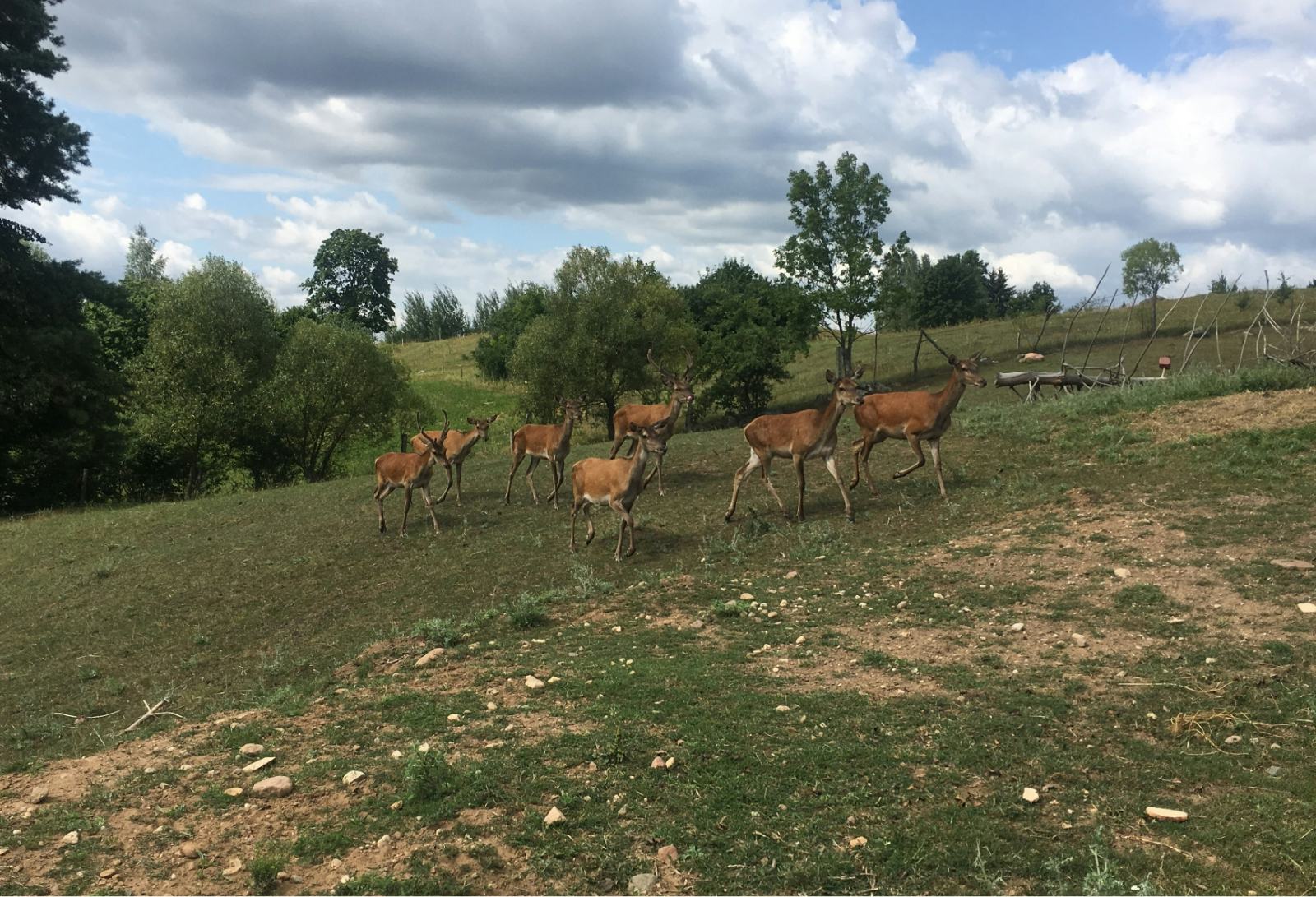 Mini ZOO w Mikołajówce