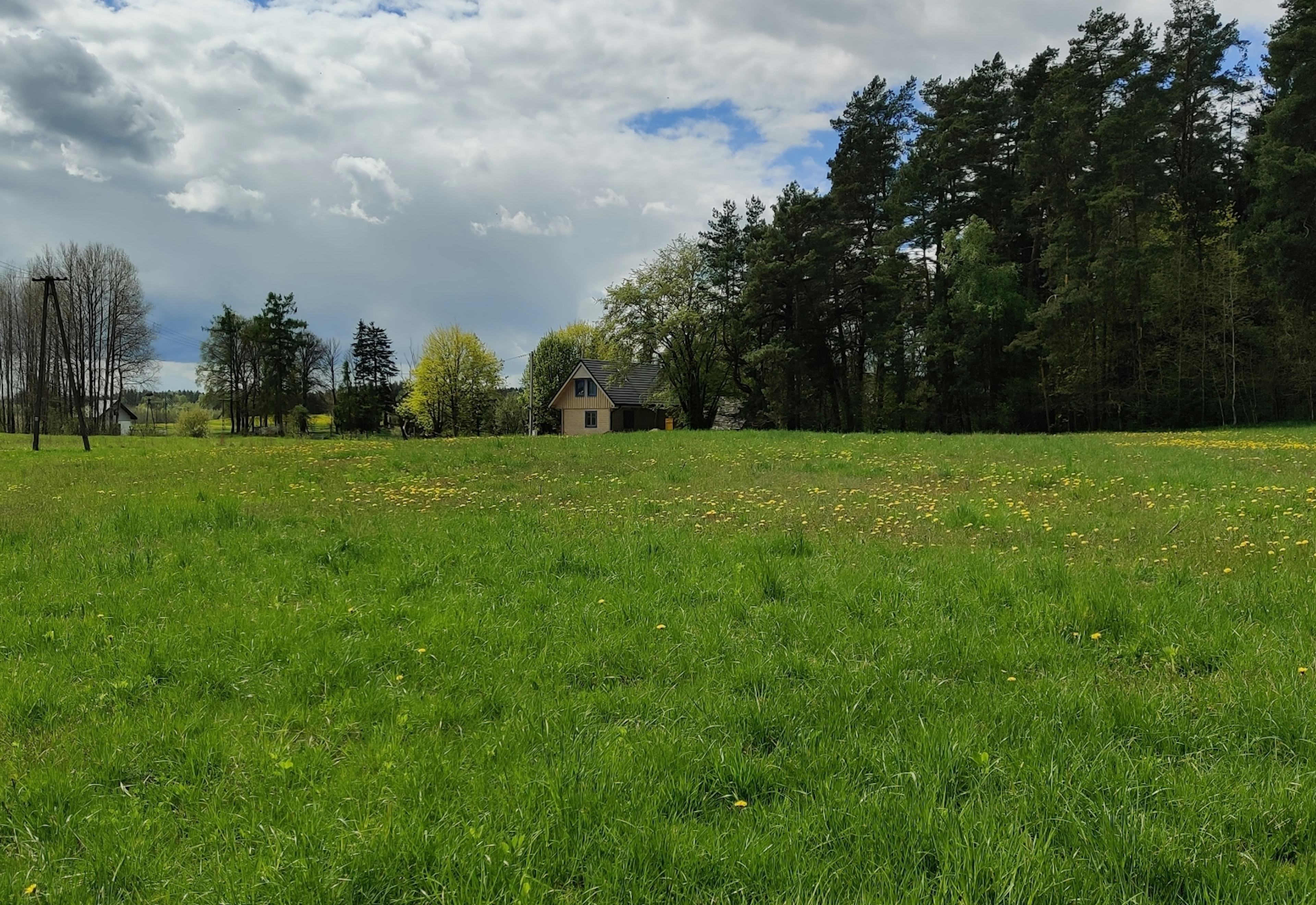 Wiosną