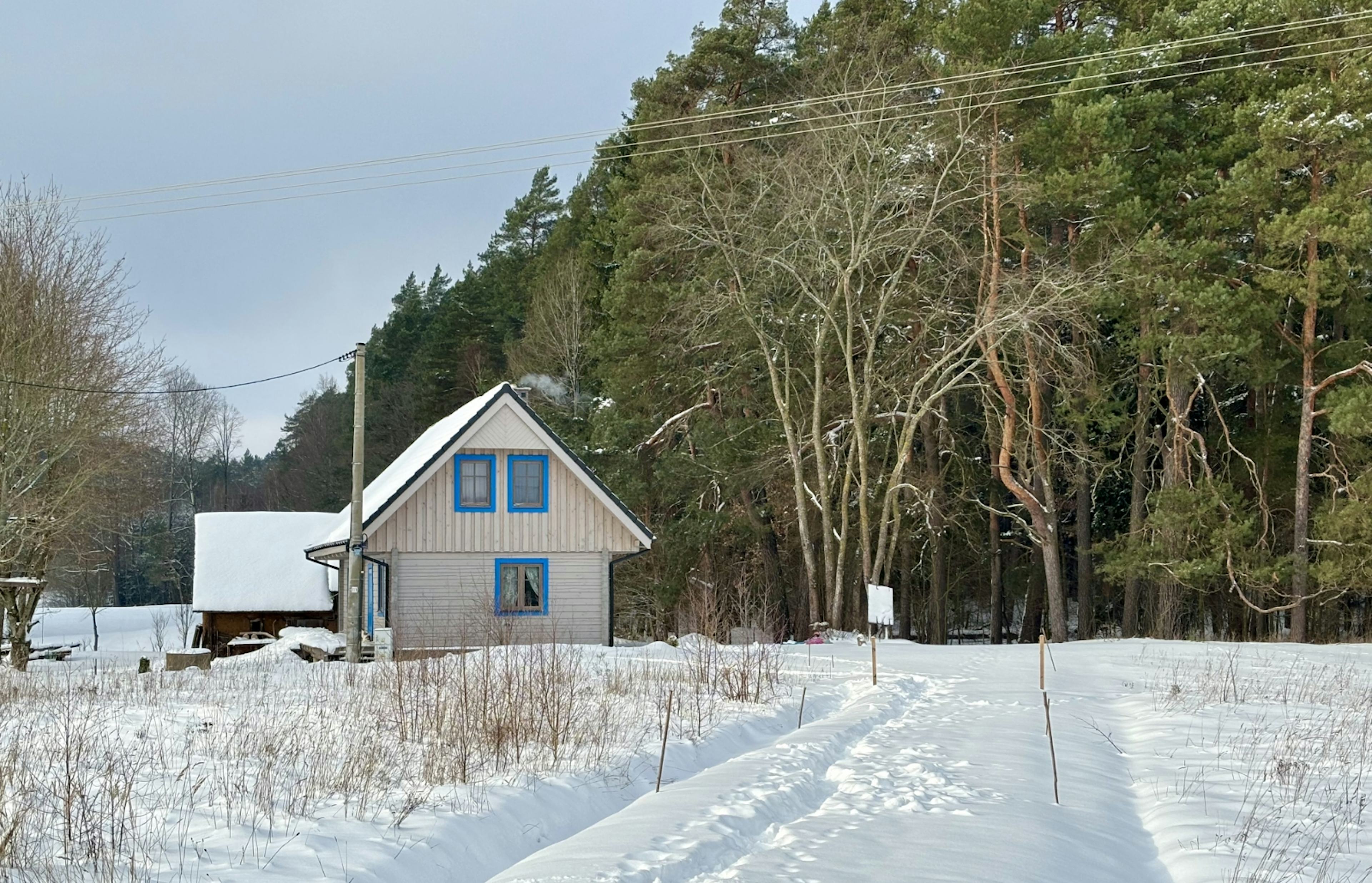 Zimą