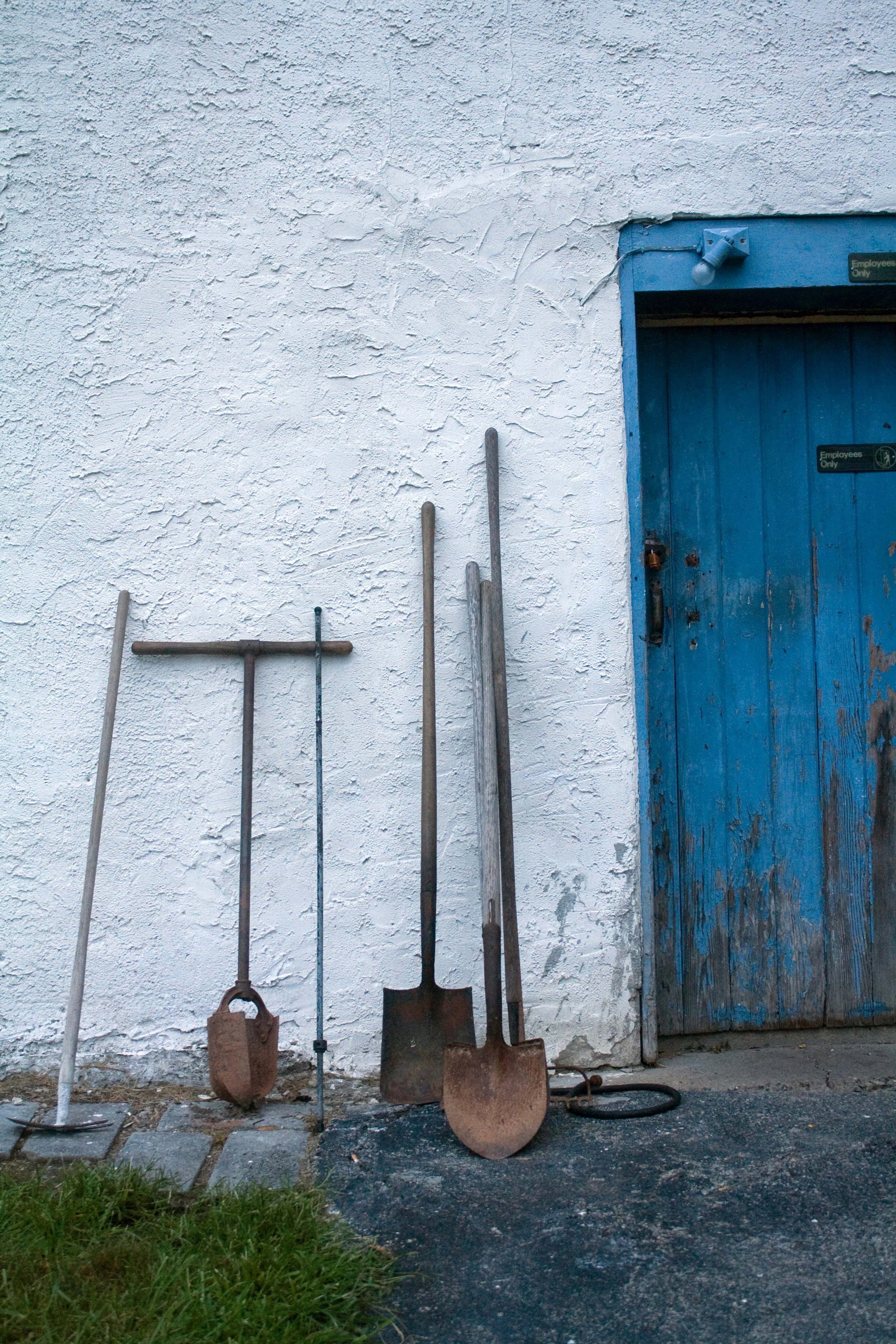 Fall Gardening Preparing Your Garden For The Winter Let s Garden