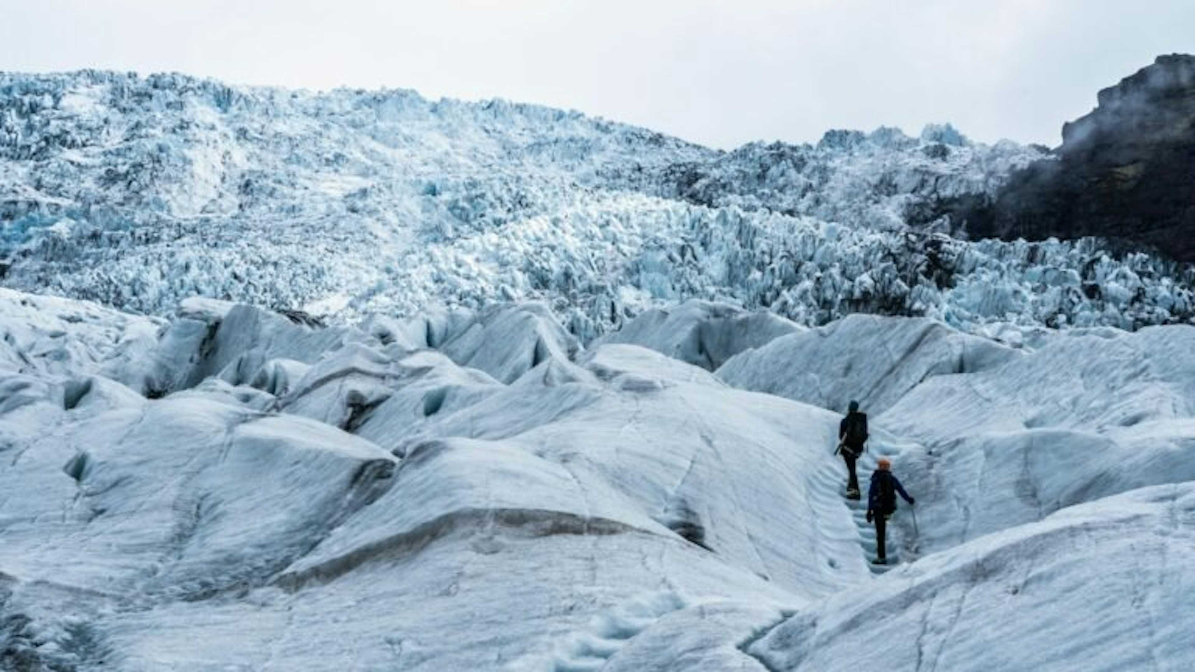 Summer Glacier Encounter